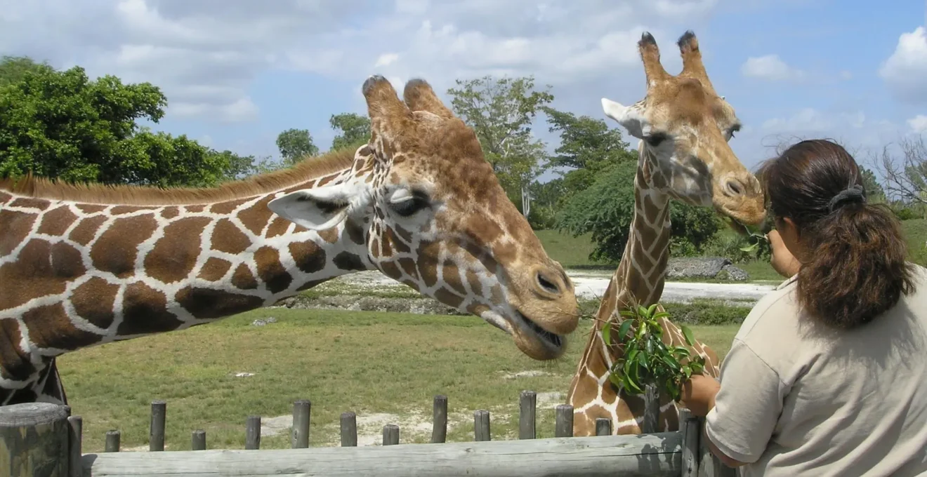parc zoologique en Auvergne.png